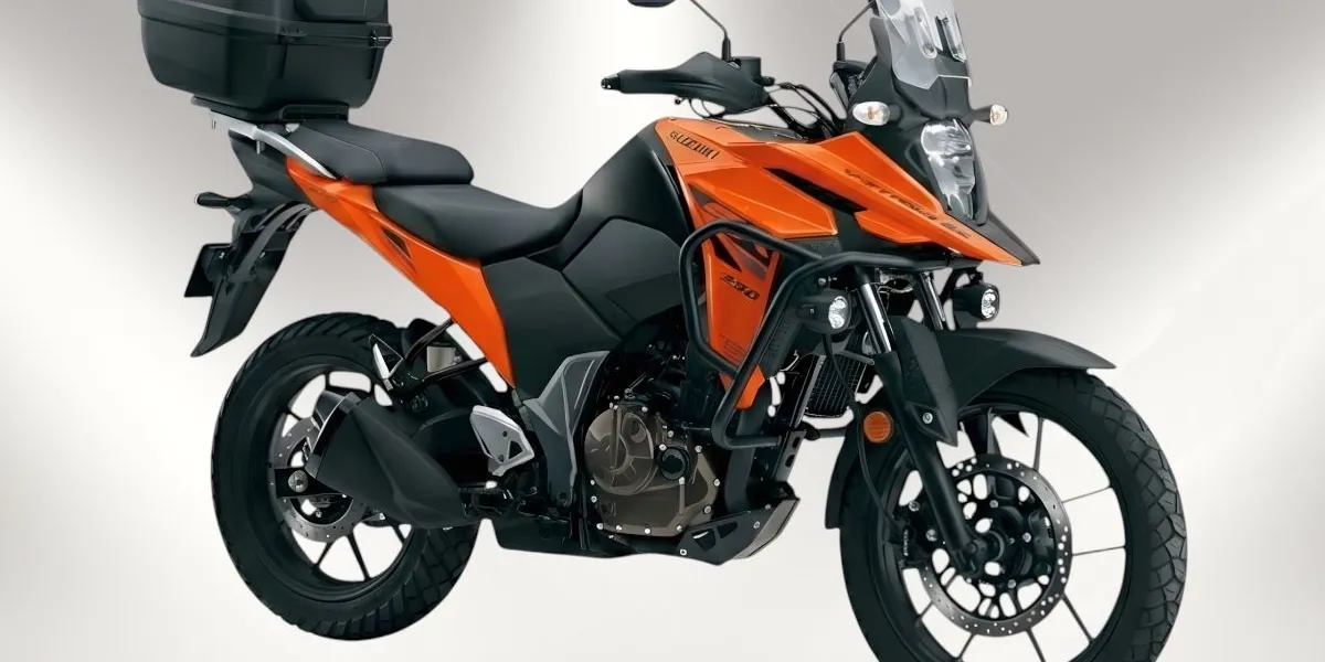 V-Strom 250 2024 photo