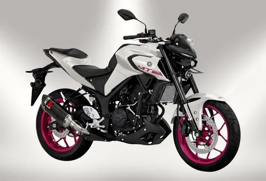 Yamaha MT 25 2023 / CBS, Pure White